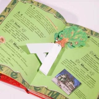 Kandrotas V. Lietuviška abėcėlė