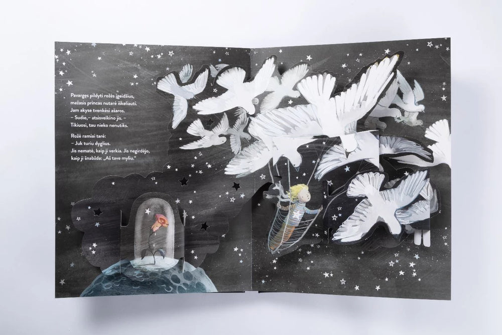 Greig L, Massin S. pagal Saint-Exupery Mažasis princas. Erdvinė knyga - pažeistu viršeliu