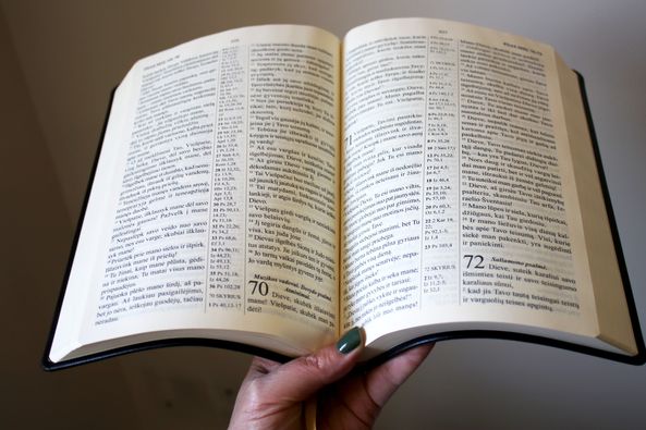 Biblija , Šventasis raštas , Senasis ir Naujasis testamentai , kanoninis. Ruda