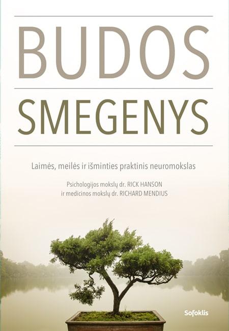Hanson R. Mendius R. Budos smegenys. Laimės, meilės ir išminties praktinis neuromokslas