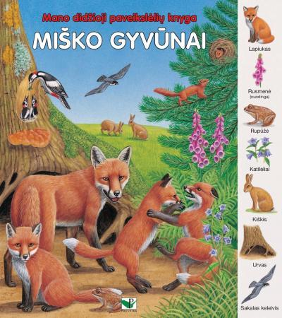 Kartoninė knygelė. Mano didžioji paveikslėlių knyga. Miško gyvūnai g.b truputi apsitrynus