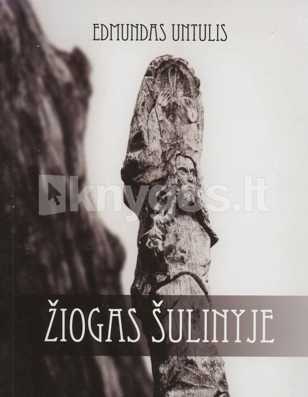 Untulis E. Žiogas šulinyje