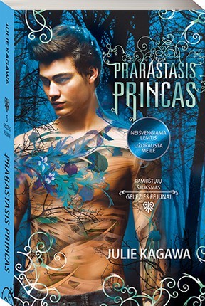 Kagawa J. Geležies fėjūnai 5. Prarastasis princas