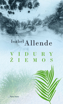 Allende I. Vidury žiemos