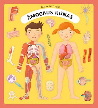 Žmogaus kūnas: pažink savo kūną