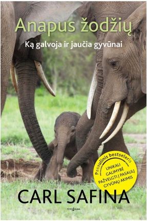 Safina C. Anapus žodžių