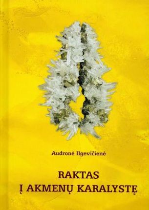 Ilgevičienė A. Raktas į akmenų karalystę. Pažeista nugarėlė