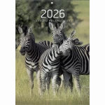 2026m. Kalendorius sieninis, su zebrais