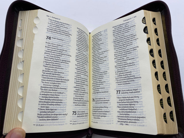 Biblija , Šventasis raštas , Senasis ir Naujasis testamentai , ekumeninis, su užtrauktuku