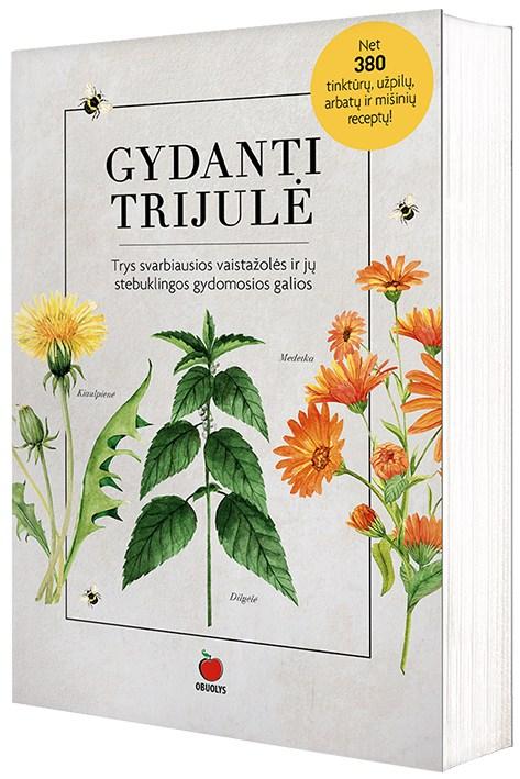 Krasavičiūtė D. Gydanti trijulė