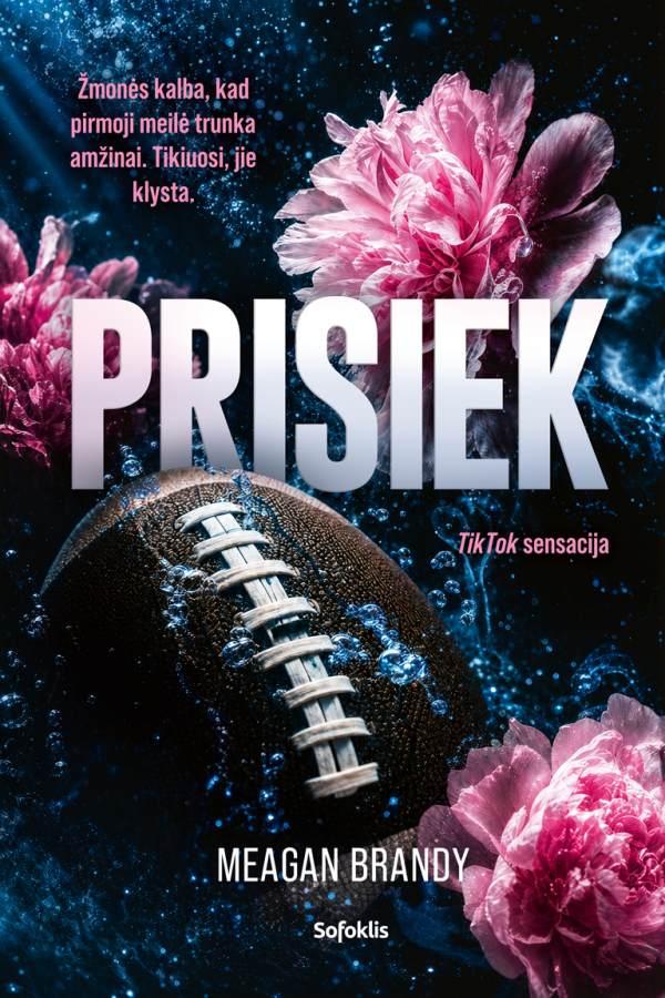 Brandy M. Avikso vaikinai 1. Prisiek