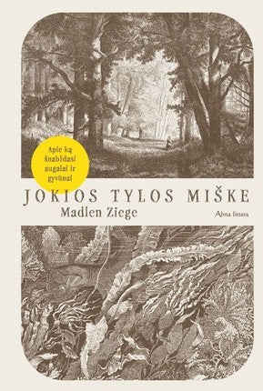 Ziege M. Jokios tylos miške