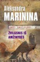 Marinina A. Žvilgsnis iš amžinybės. Geri ketinimai